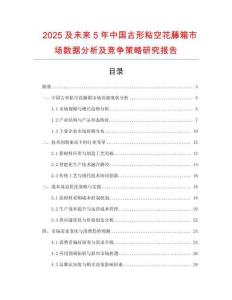 2025及未來5年中國古形粘空花藤箱市場數據分析及競爭策略研究報告