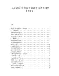 2025-2030中國(guó)智慧交通系統(tǒng)建設(shè)與運(yùn)營(yíng)效率提升分析報(bào)告