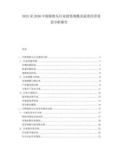 2025至2030中國烙鐵頭行業投資規模及前景經營效益分析報告