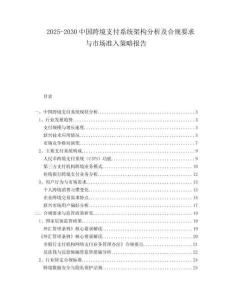 2025-2030中國跨境支付系統架構分析及合規要求與市場準入策略報告