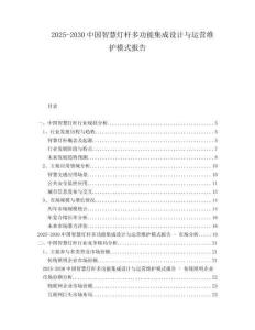 2025-2030中國智慧燈桿多功能集成設計與運營維護模式報告