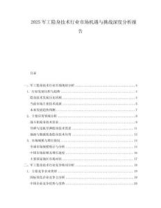 2025軍工隱身技術(shù)行業(yè)市場機遇與挑戰(zhàn)深度分析報告