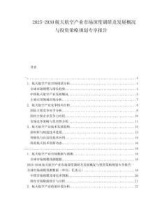 2025-2030航天航空產業市場深度調研及發展概況與投資策略規劃專享報告
