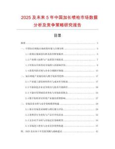 2025及未來5年中國加長噴槍市場數(shù)據(jù)分析及競爭策略研究報告
