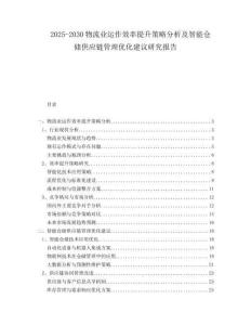 2025-2030物流業(yè)運(yùn)作效率提升策略分析及智能倉儲(chǔ)供應(yīng)鏈管理優(yōu)化建議研究報(bào)告