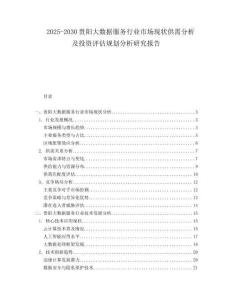 2025-2030貴陽大數據服務行業市場現狀供需分析及投資評估規劃分析研究報告