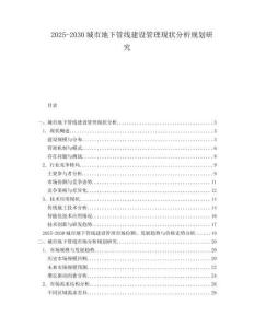 2025-2030城市地下管線建設管理現狀分析規劃研究
