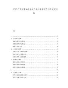2025汽車后市場(chǎng)數(shù)字化改造與服務(wù)平臺(tái)建設(shè)研究報(bào)告
