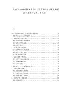 2025至2030中國網上支付行業市場深度研究及發展前景投資可行性分析報告
