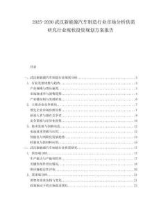 2025-2030武漢新能源汽車制造行業市場分析供需研究行業現狀投資規劃方案報告