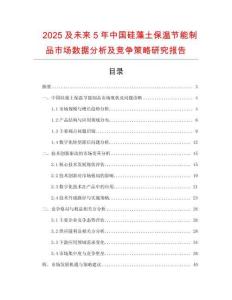 2025及未來5年中國硅藻土保溫節能制品市場數據分析及競爭策略研究報告