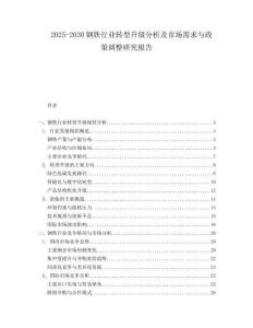 2025-2030鋼鐵行業(yè)轉(zhuǎn)型升級分析及市場需求與政策調(diào)整研究報告