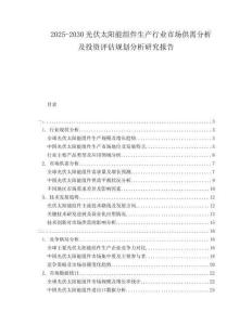 2025-2030光伏太陽能組件生產行業市場供需分析及投資評估規劃分析研究報告