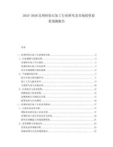 2025-2030比利時鉆石加工行業研究及市場投資前景預測報告