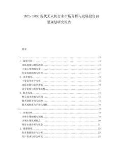 2025-2030現(xiàn)代無人機行業(yè)市場分析與發(fā)展投資前景規(guī)劃研究報告