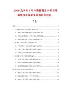 2025及未来5年中国棕刚玉P砂市场数据分析及竞争策略研究报告