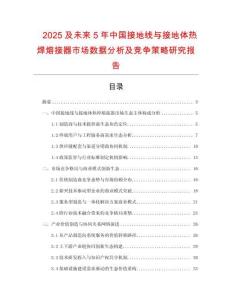 2025及未来5年中国接地线与接地体热焊熔接器市场数据分析及竞争策略研究报告
