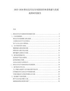 2025-2030移動支付安全風(fēng)險防控體系構(gòu)建與發(fā)展趨勢研究報告