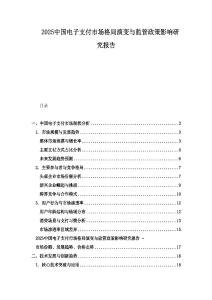 2025中國電子支付市場格局演變與監(jiān)管政策影響研究報告