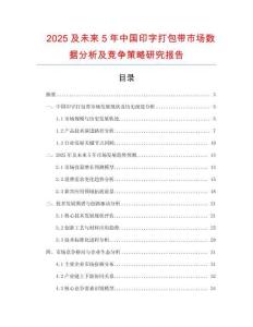 2025及未來5年中國印字打包帶市場數(shù)據(jù)分析及競爭策略研究報告