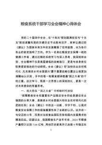 糧食系統(tǒng)干部學(xué)習(xí)全會(huì)精神心得體會(huì)