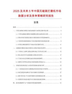 2025及未來5年中國無碳刷打磨機市場數據分析及競爭策略研究報告