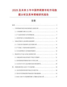 2025及未來(lái)5年中國(guó)帶柄黃布輪市場(chǎng)數(shù)據(jù)分析及競(jìng)爭(zhēng)策略研究報(bào)告