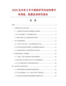 2025及未來5年中國鍋爐用電加熱管市場調查、數據監測研究報告
