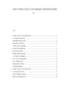 2025中國電子支付產(chǎn)業(yè)生態(tài)構(gòu)建與風(fēng)險管控分析報告
