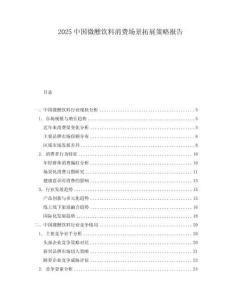 2025中國微醺飲料消費(fèi)場景拓展策略報(bào)告