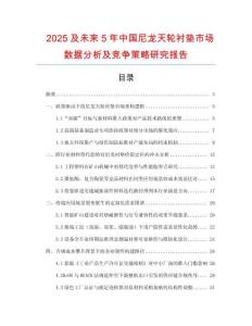 2025及未來5年中國尼龍天輪襯墊市場數據分析及競爭策略研究報告
