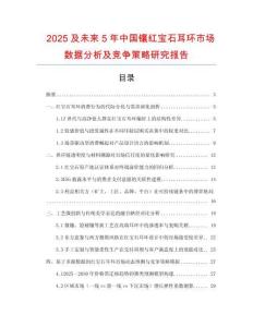 2025及未來5年中國鑲紅寶石耳環市場數據分析及競爭策略研究報告