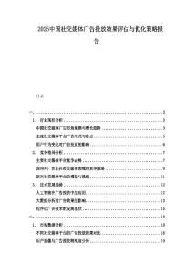 2025中國(guó)社交媒體廣告投放效果評(píng)估與優(yōu)化策略報(bào)告