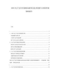 2025電子支付市場格局演變及技術(shù)創(chuàng)新與風(fēng)險控制策略報告
