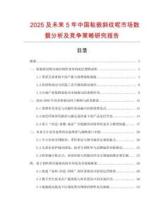 2025及未來5年中國粘嵌斜紋呢市場數(shù)據(jù)分析及競爭策略研究報(bào)告