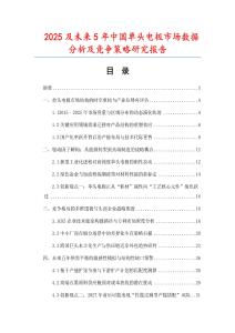 2025及未來5年中國單頭電極市場數據分析及競爭策略研究報告