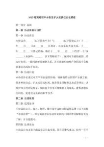 2025版離婚財產分割及子女撫養權協議模板