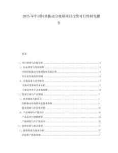 2025年中國回轉振動分級篩項目投資可行性研究報告