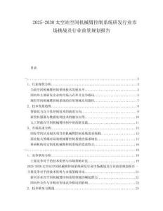 2025-2030太空站空間機(jī)械臂控制系統(tǒng)研發(fā)行業(yè)市場(chǎng)挑戰(zhàn)及行業(yè)前景規(guī)劃報(bào)告