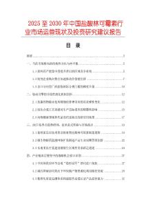 2025至2030年中國(guó)鹽酸林可霉素行業(yè)市場(chǎng)運(yùn)營(yíng)現(xiàn)狀及投資研究建議報(bào)告