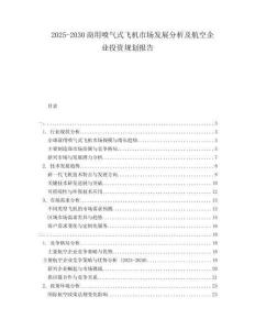 2025-2030商用噴氣式飛機(jī)市場(chǎng)發(fā)展分析及航空企業(yè)投資規(guī)劃報(bào)告