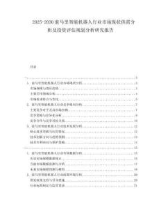 2025-2030索馬里智能機(jī)器人行業(yè)市場(chǎng)現(xiàn)狀供需分析及投資評(píng)估規(guī)劃分析研究報(bào)告