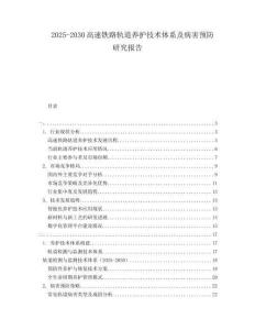 2025-2030高速鐵路軌道養(yǎng)護(hù)技術(shù)體系及病害預(yù)防研究報(bào)告