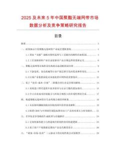 2025及未来5年中国聚酯无端网带市场数据分析及竞争策略研究报告