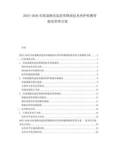 2025-2030市政道路改造瀝青路面技術(shù)養(yǎng)護(hù)檢測智能化管理方案