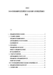 2025-2030非裔金融科技發(fā)展投行業(yè)態(tài)創(chuàng)新與傳統(tǒng)投資融合報告