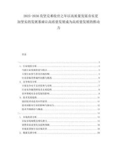 2025-2030攻堅克難收官之年以高質量發(fā)展夯實更加堅實的發(fā)展基礎讓高質量發(fā)展成為高質量發(fā)展的推動力
