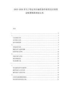 2025-2030圣馬丁特定項目融資條件檢查及后續(xù)資金配置精準規(guī)劃文本