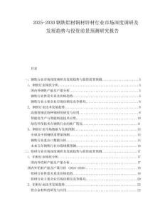 2025-2030鋼鐵鋁材銅材鋅材行業(yè)市場(chǎng)深度調(diào)研及發(fā)展趨勢(shì)與投資前景預(yù)測(cè)研究報(bào)告