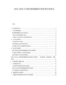 2025-2030公司財(cái)務(wù)賬簿編制審核管理分析報(bào)告